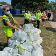 Chicago's Waste Landscape Management